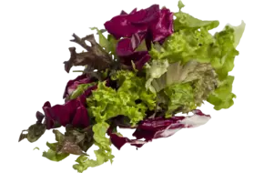 Gourmet sla mix 1 kilo